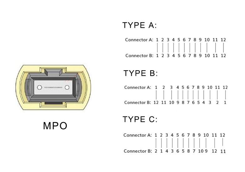 Difference-and-Usage-of-MTP-and-MPO-Cables-3.jpg